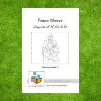 Peace Weave: Integrate UE, EE, OA, AI, EA