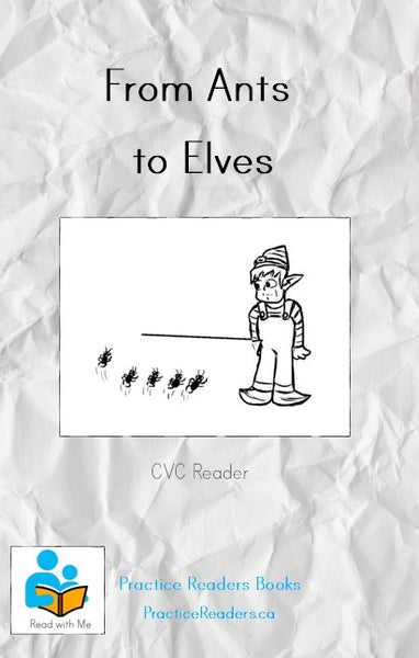 From Ants to Elves: CVC Reader